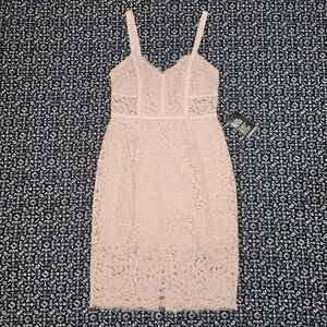 Express Midi Lace Dress 